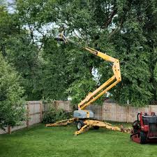 Belle Plaine, IA Tree Services Company